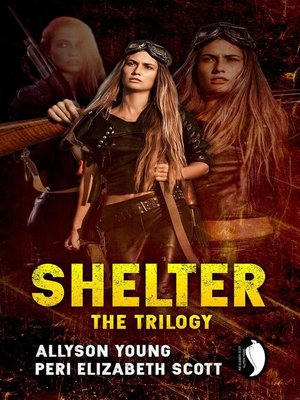 cover image of Shelter